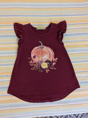 ⭐ Millie Loves Lily Pumpkin ruffle sleeve top size 6